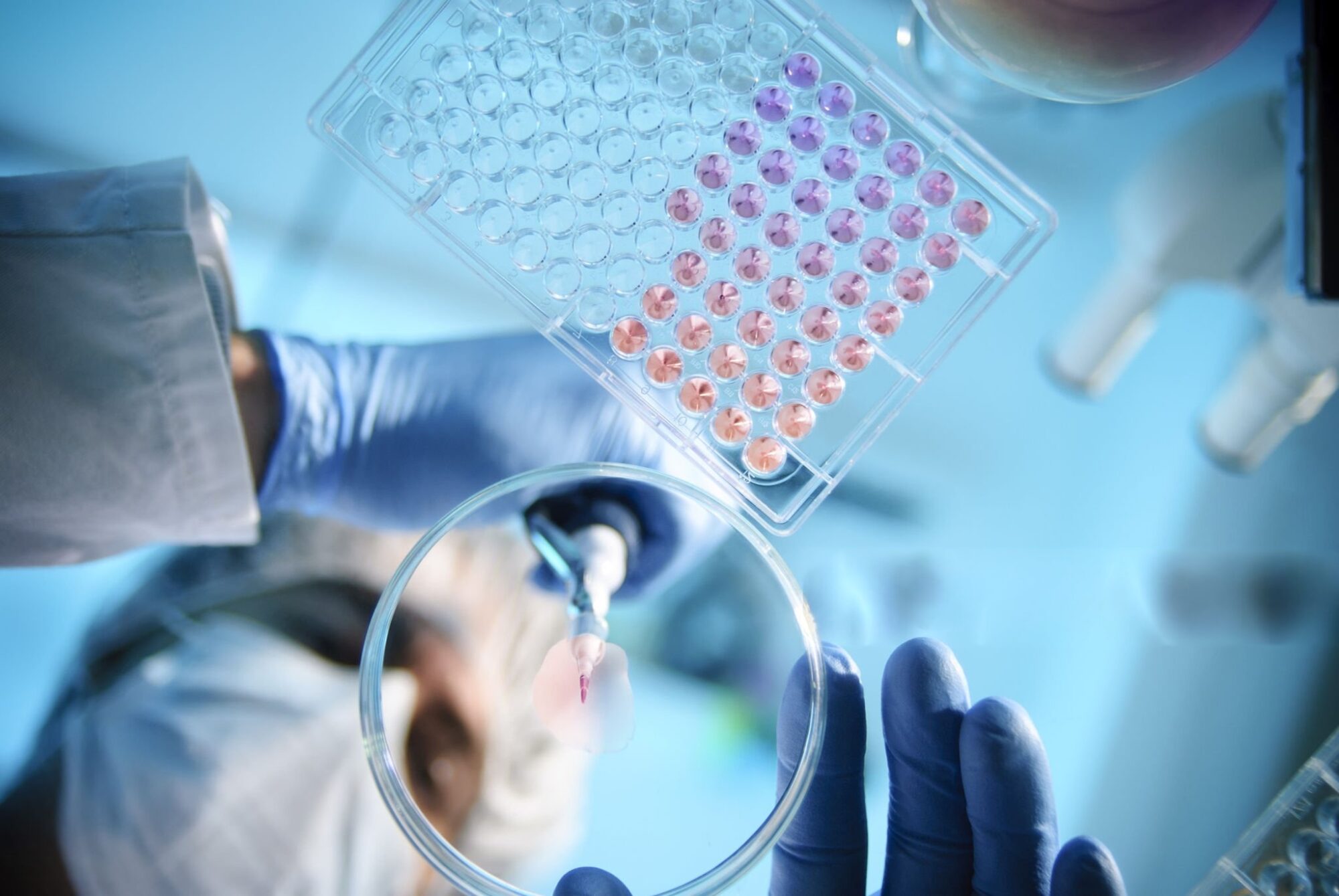 PreMarketDaily_TERN Stock