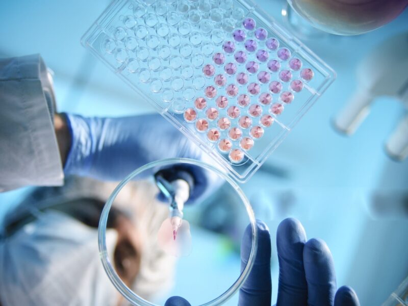 PreMarketDaily_TERN Stock